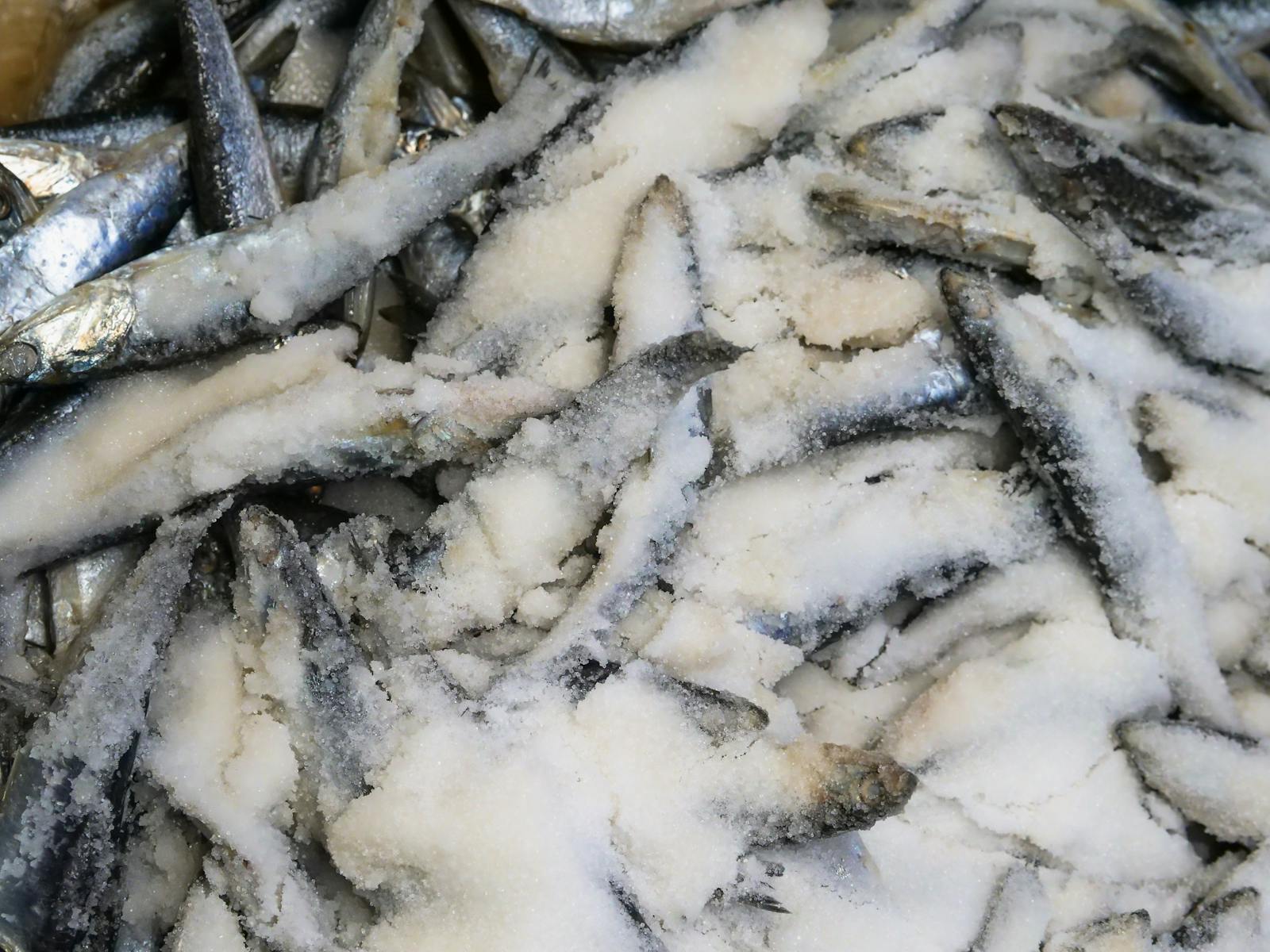 Frozen Fish Suppliers in Ghana